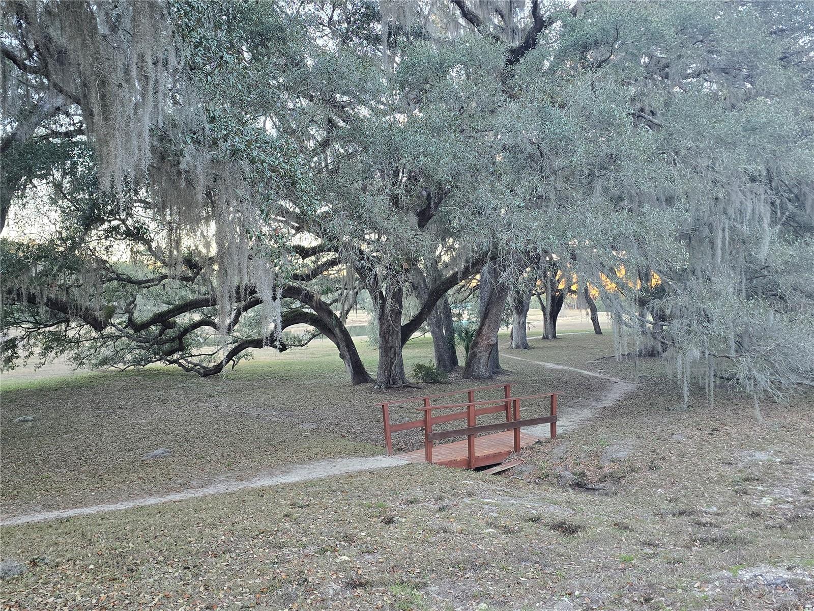 SW 136TH CT. RD, DUNNELLON, FL — photo 10