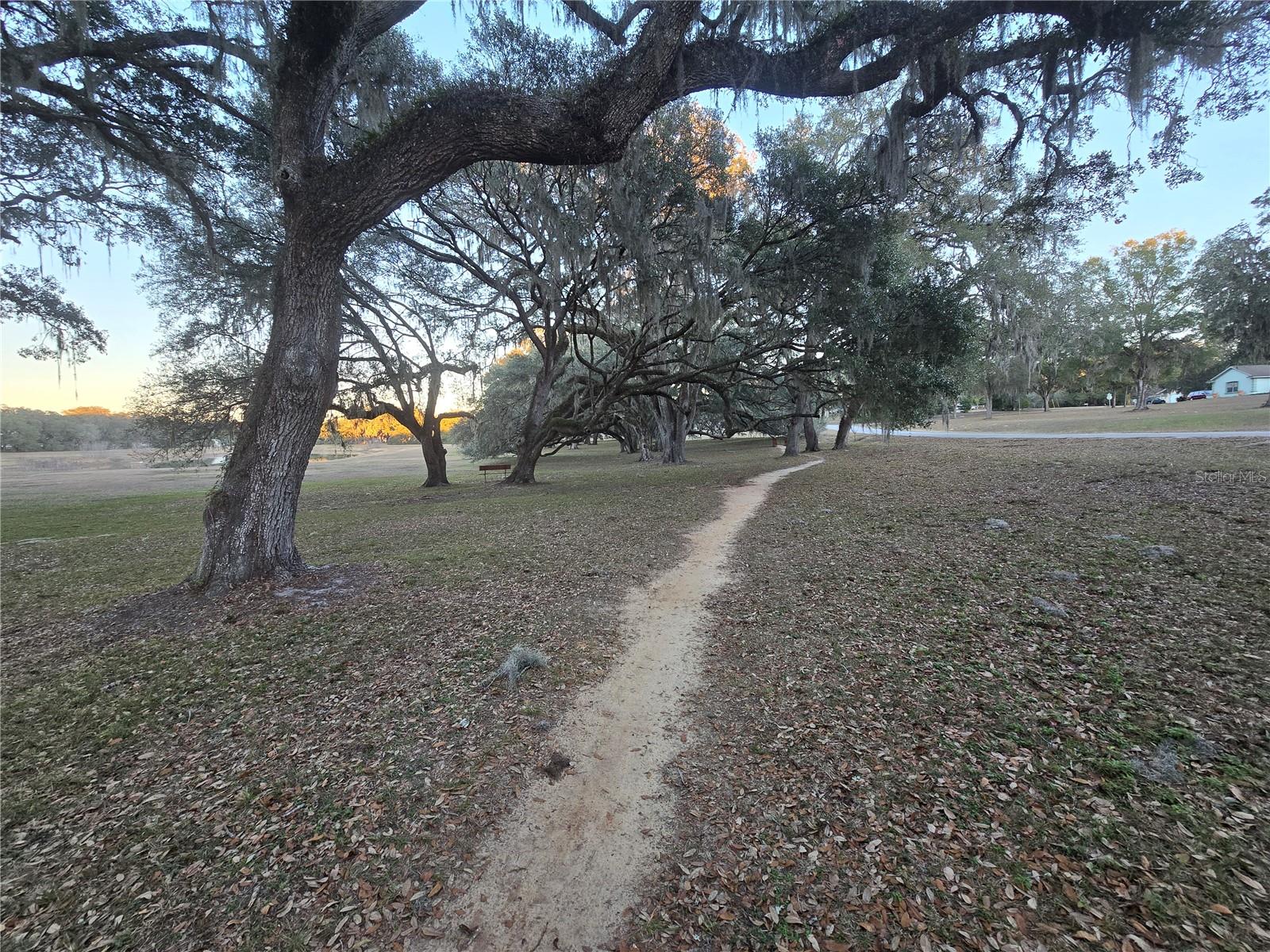 SW 136TH CT. RD, DUNNELLON, FL — photo 12