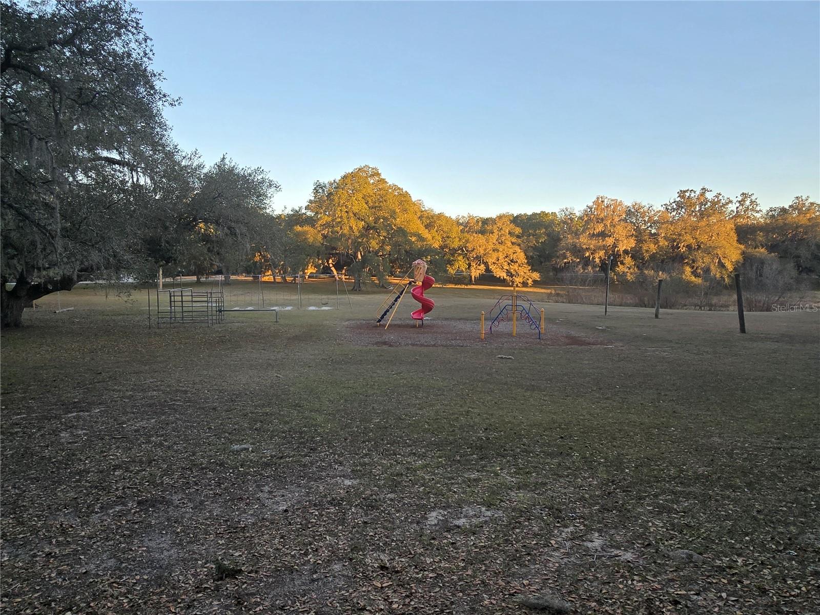 SW 136TH CT. RD, DUNNELLON, FL — photo 14