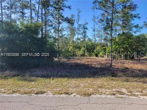 1600 E 15TH ST, LEHIGH ACRES, FL
