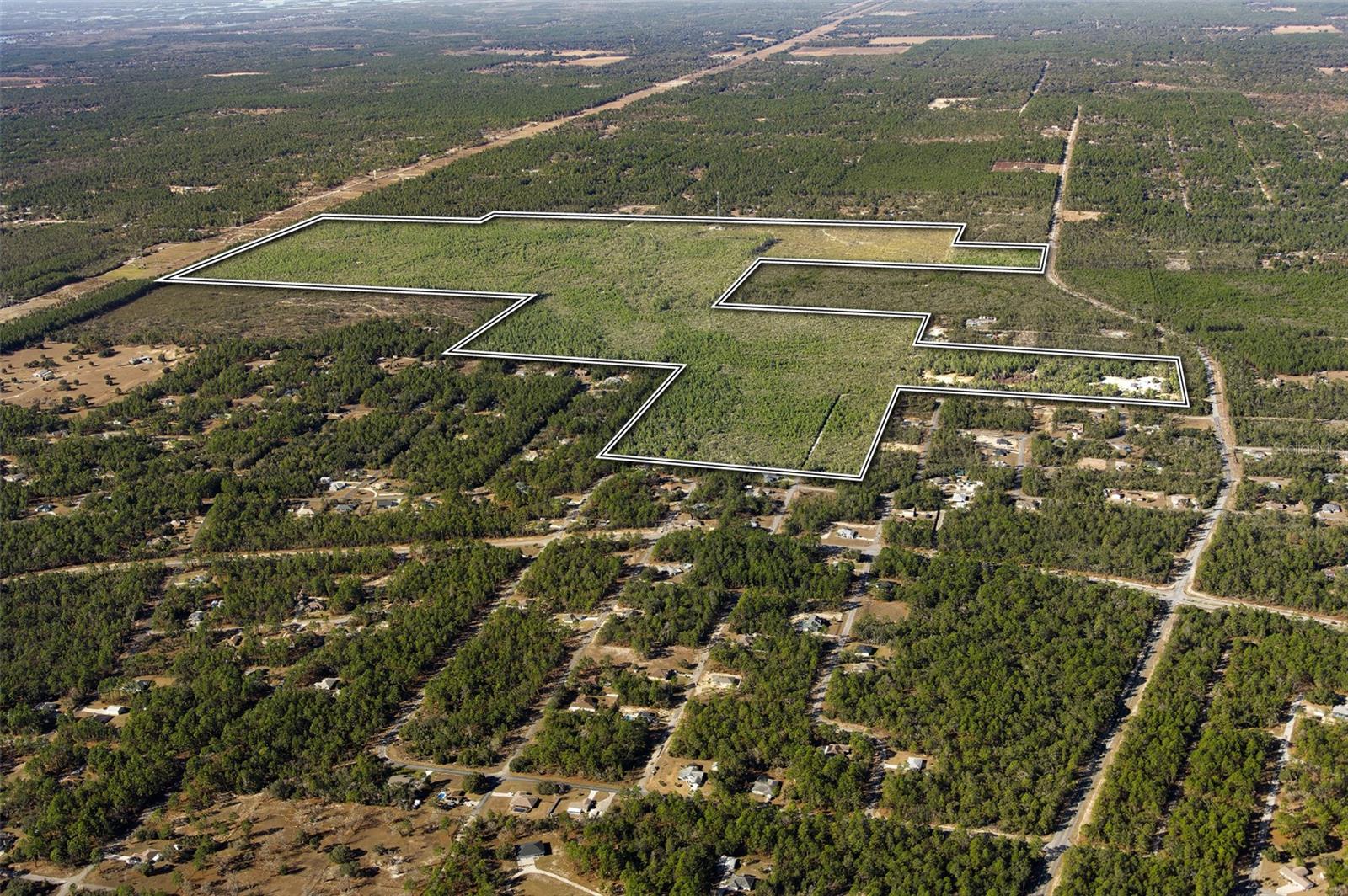 7759 N FREEMANTLE WAY, DUNNELLON, FL — photo 8