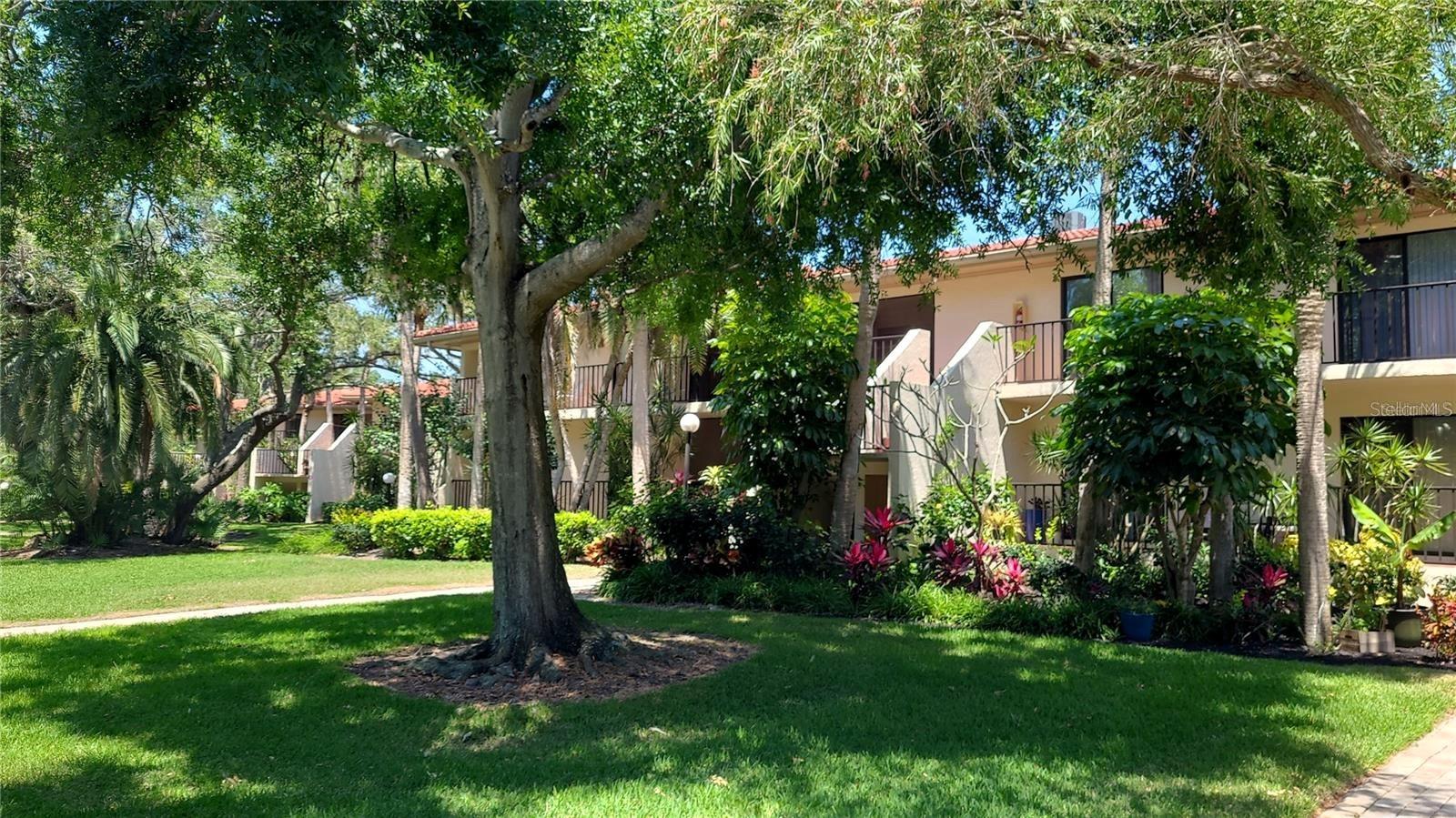 6462 WILD OAK BAY BLVD #245, BRADENTON, FL — photo 5
