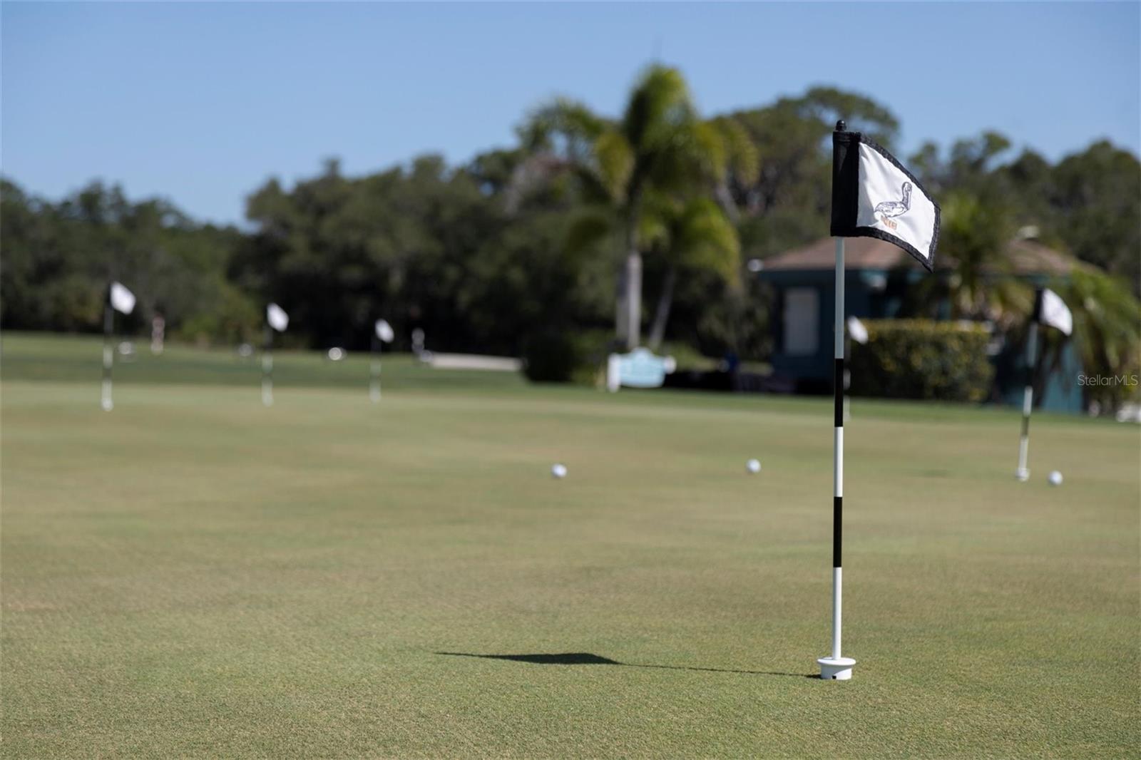 711 BACK NINE DR, VENICE, FL — photo 83