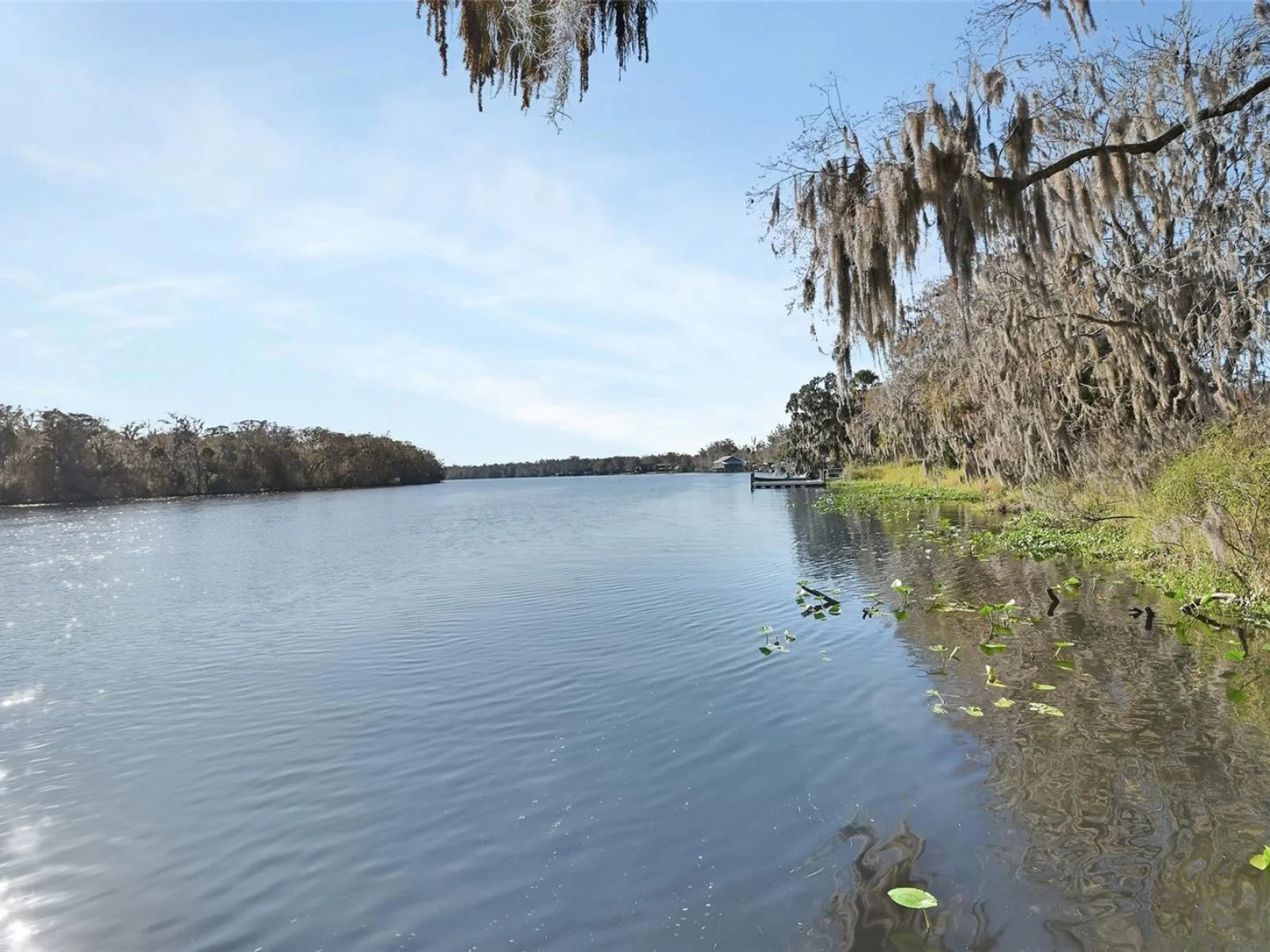 55512 FRONT ST, ASTOR, FL — photo 8