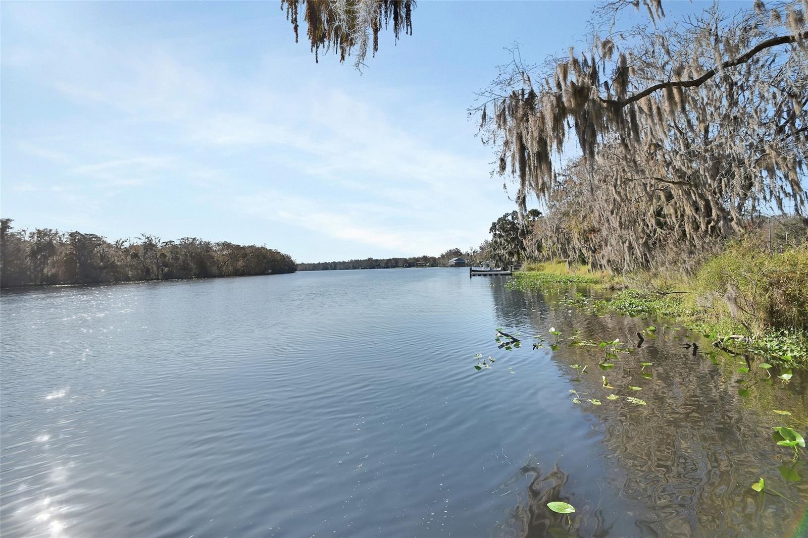 55512 FRONT ST, ASTOR, FL — photo 7