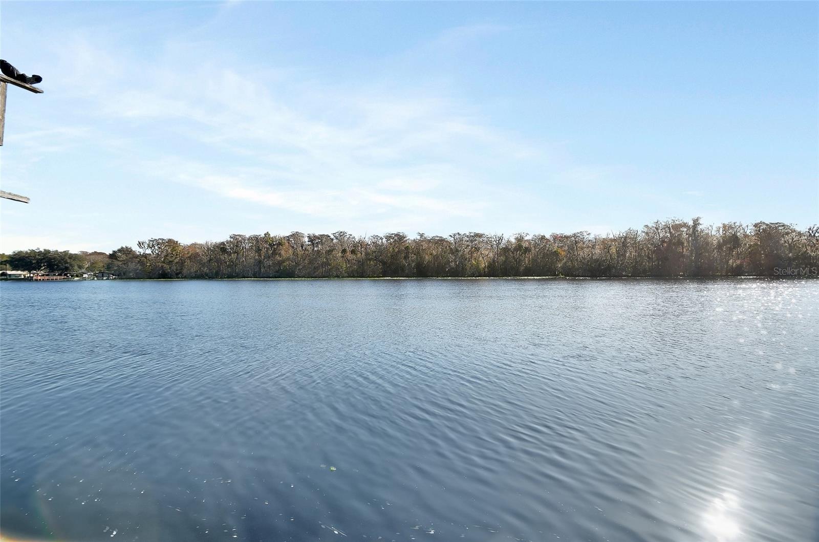 55512 FRONT ST, ASTOR, FL — photo 10