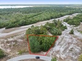 1329 HOMOSASSA CT, KISSIMMEE, FL — photo 2