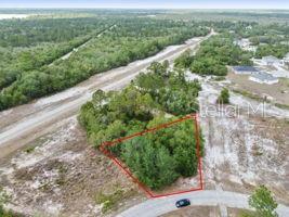 1329 HOMOSASSA CT, KISSIMMEE, FL — photo 4