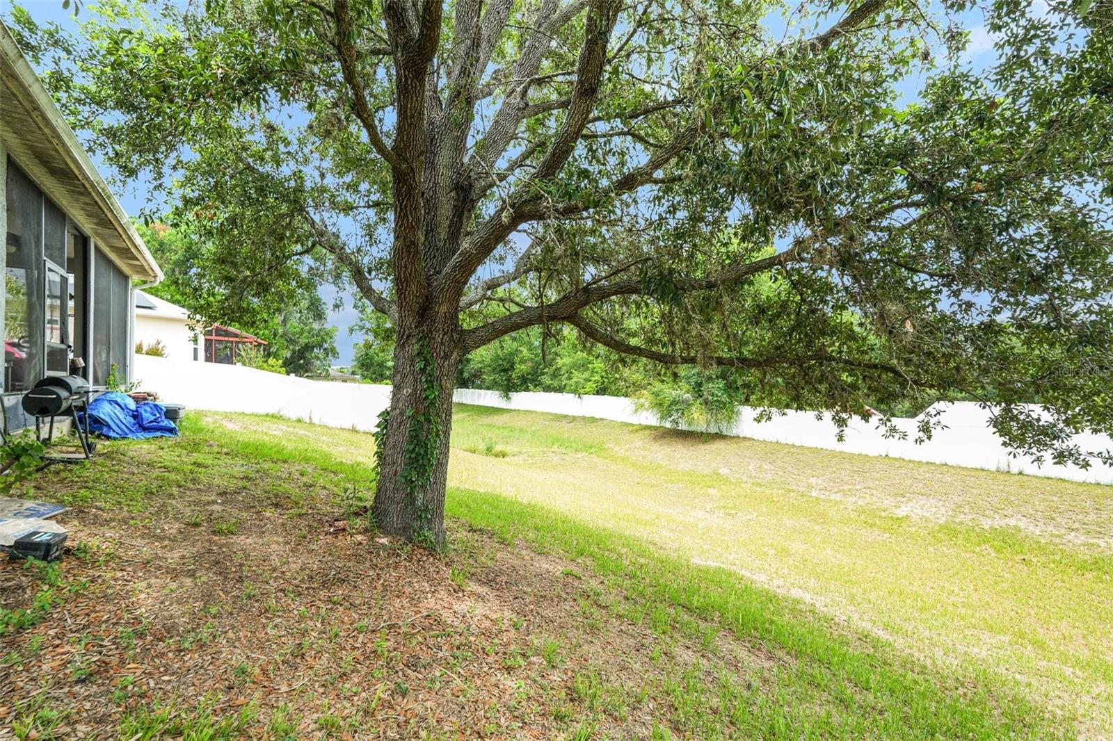 37110 HIGHLAND BLUFF CIR, DADE CITY, FL — photo 27
