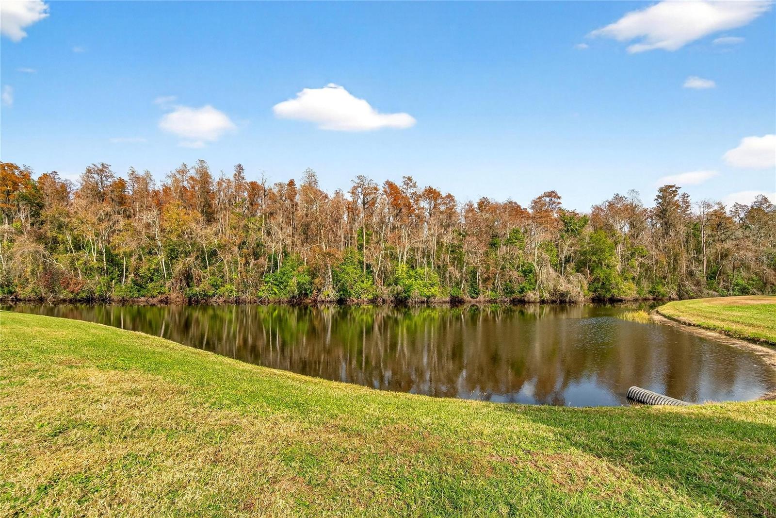 2003 HARTLEBURY WAY #432, SUN CITY CENTER, FL — photo 20