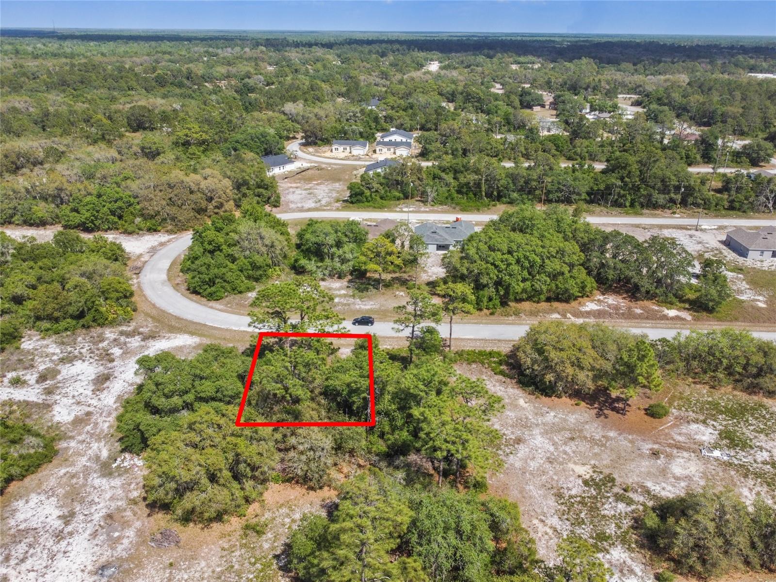 1335 HILLSBOROUGH CT, KISSIMMEE, FL — photo 3