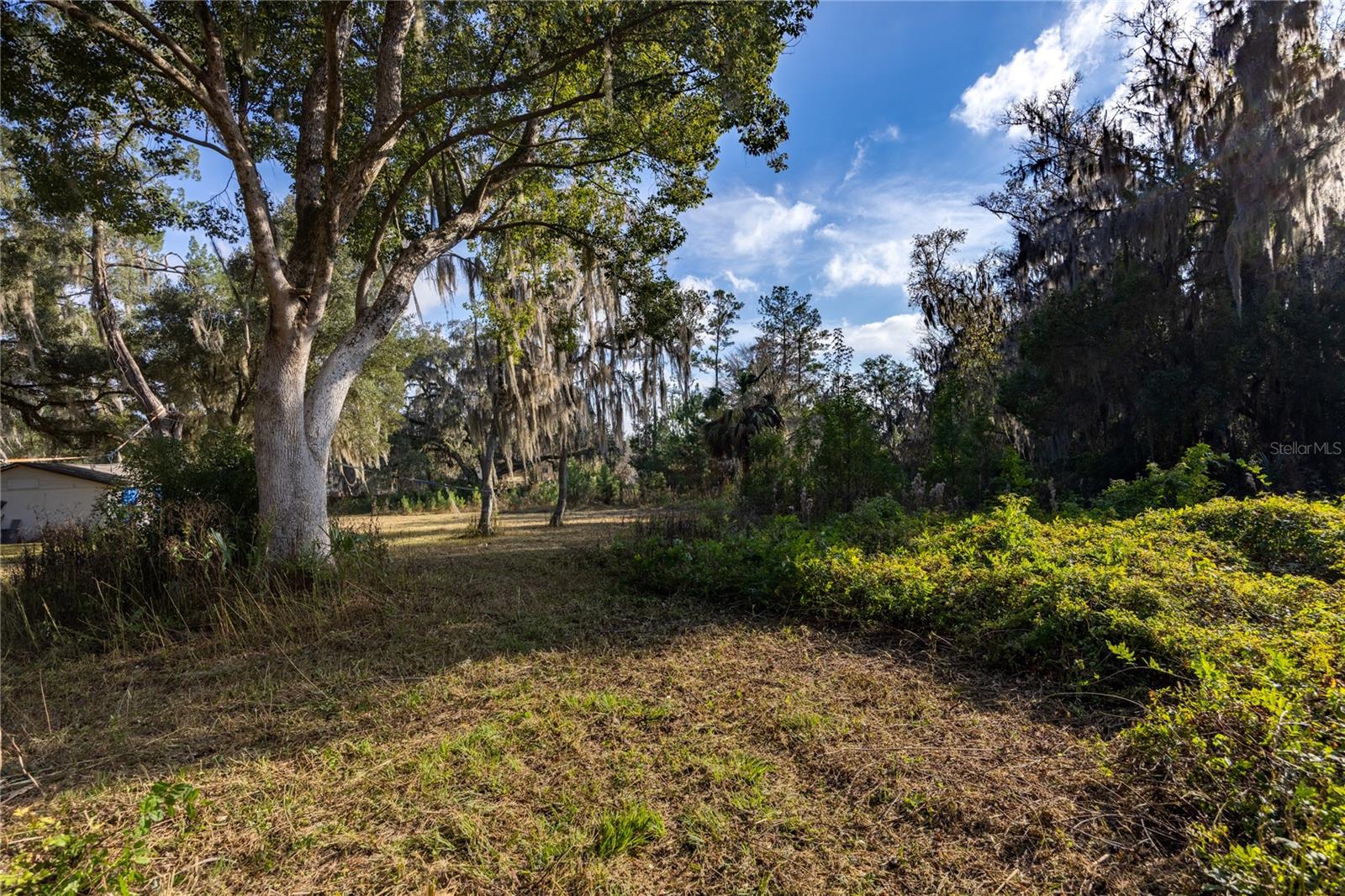 560 NW 39TH RD, GAINESVILLE, FL — photo 6