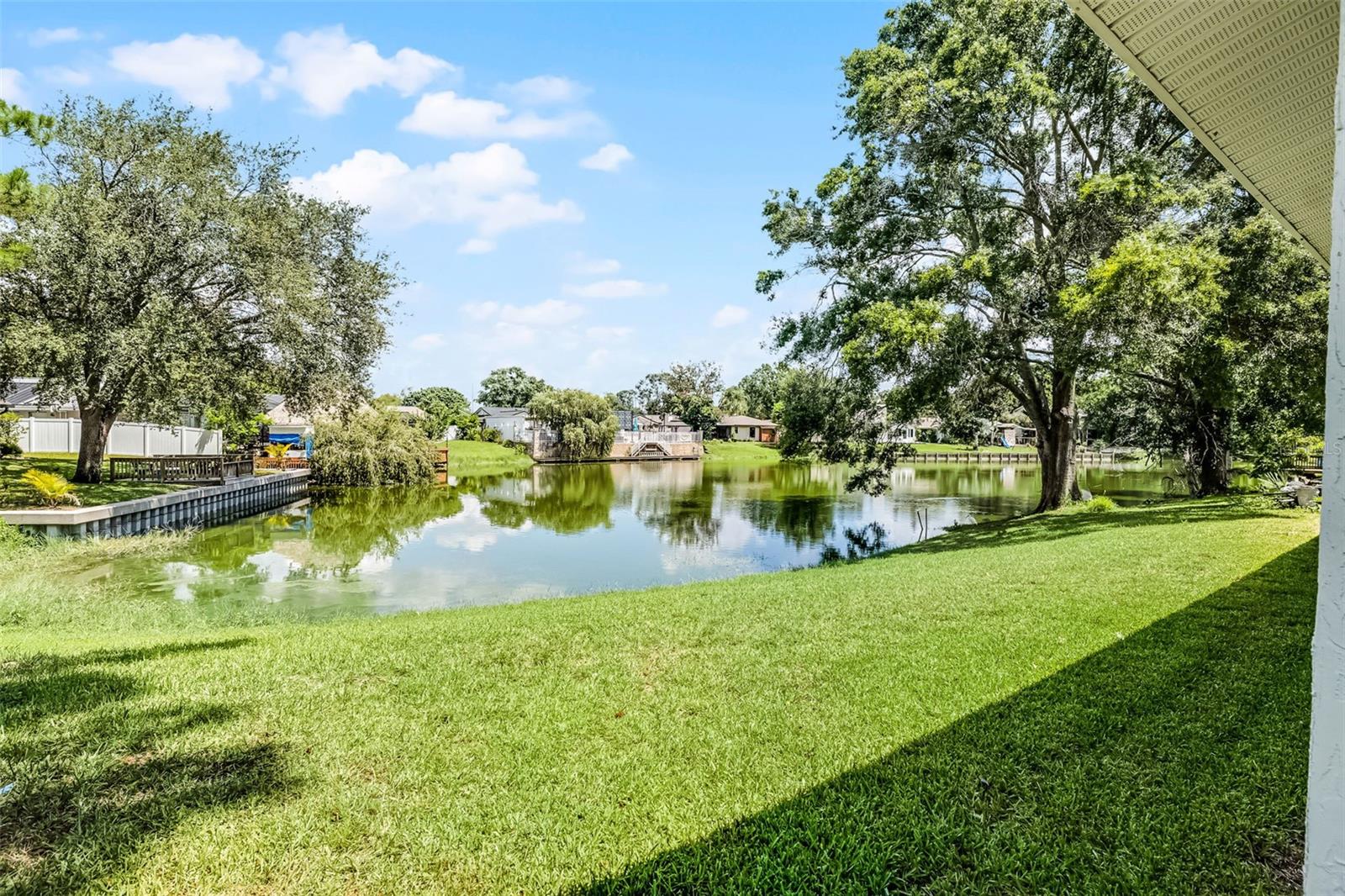 8208 LA SERENA DR, TAMPA, FL — photo 2