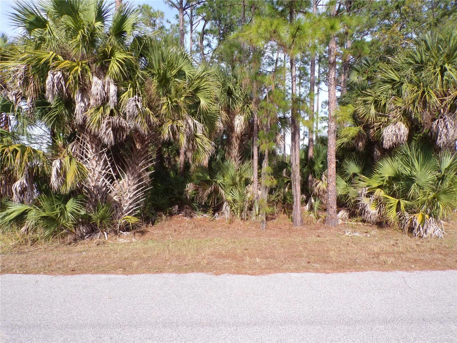 EVANGELINA LN, NORTH PORT, FL — photo 2