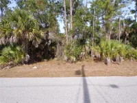 EVANGELINA LN — photo 9