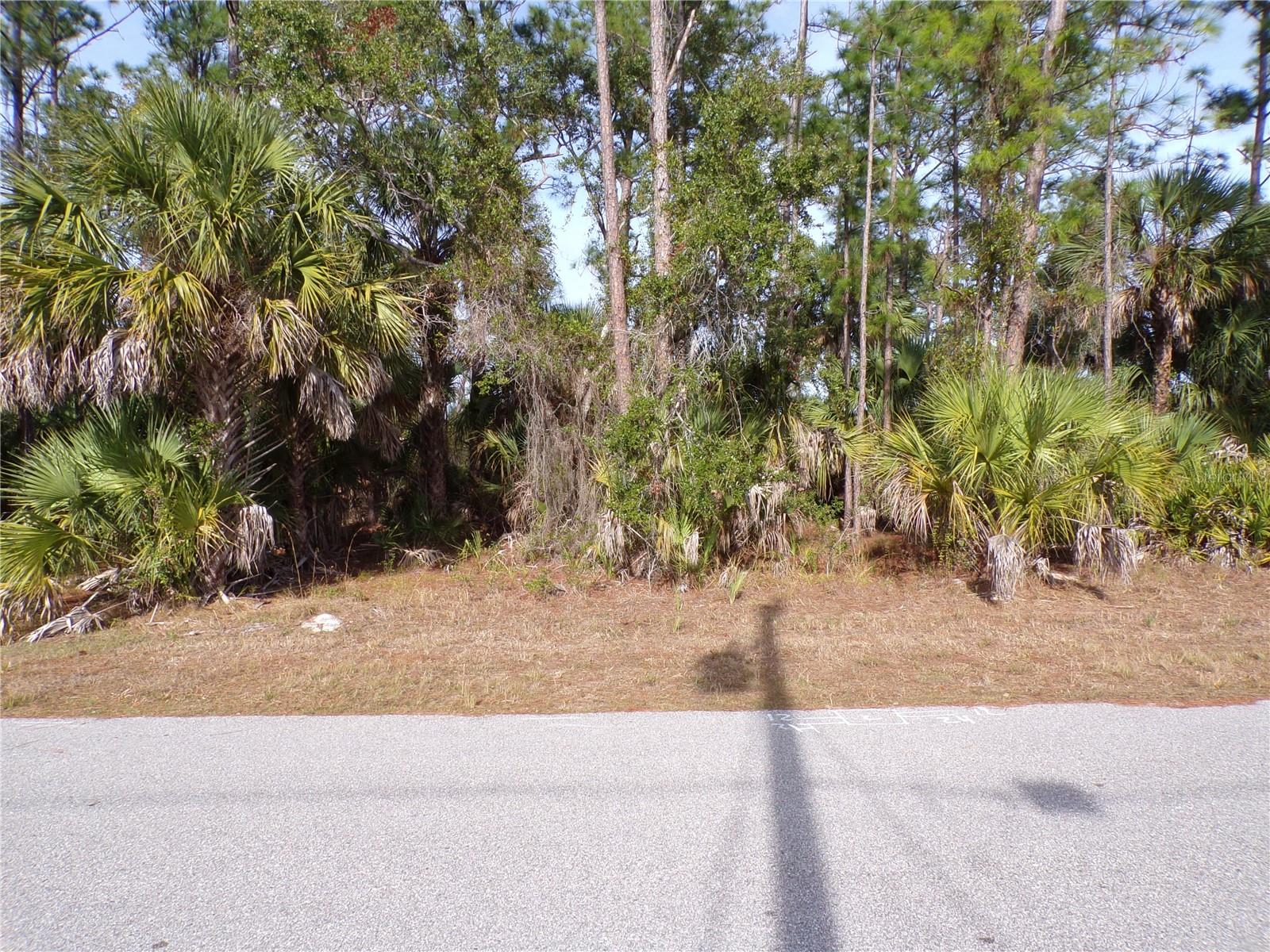 EVANGELINA LN, NORTH PORT, FL — photo 10
