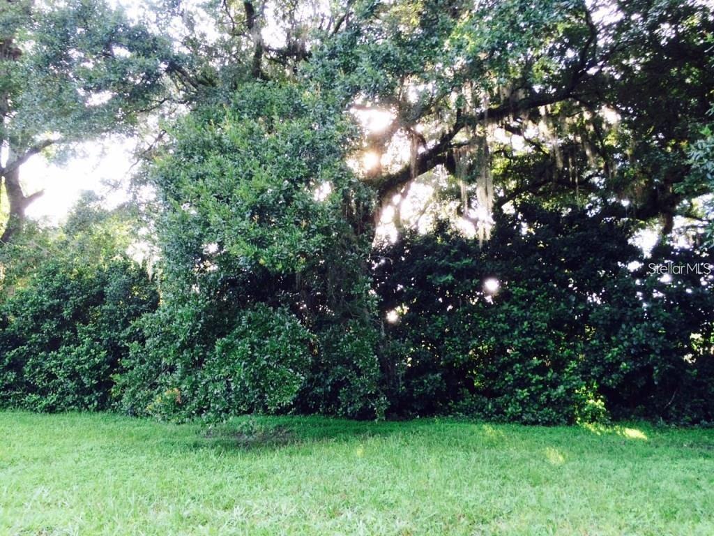 111 FREDERICK ST, INTERLACHEN, FL