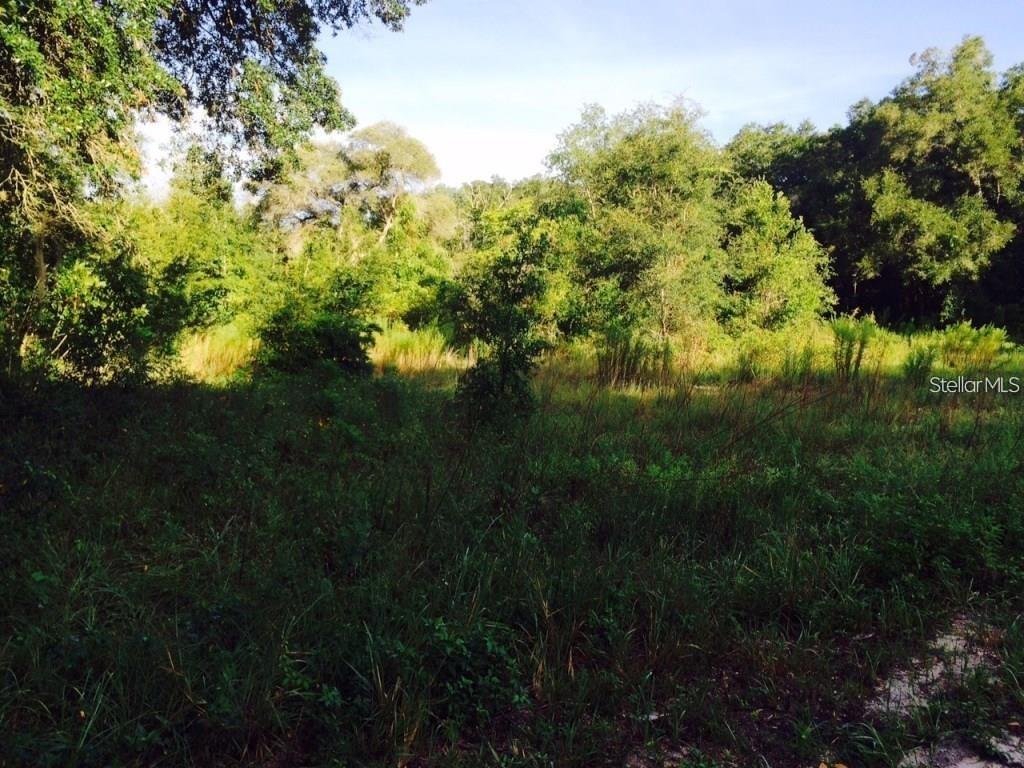111 FREDERICK ST, INTERLACHEN, FL — photo 2