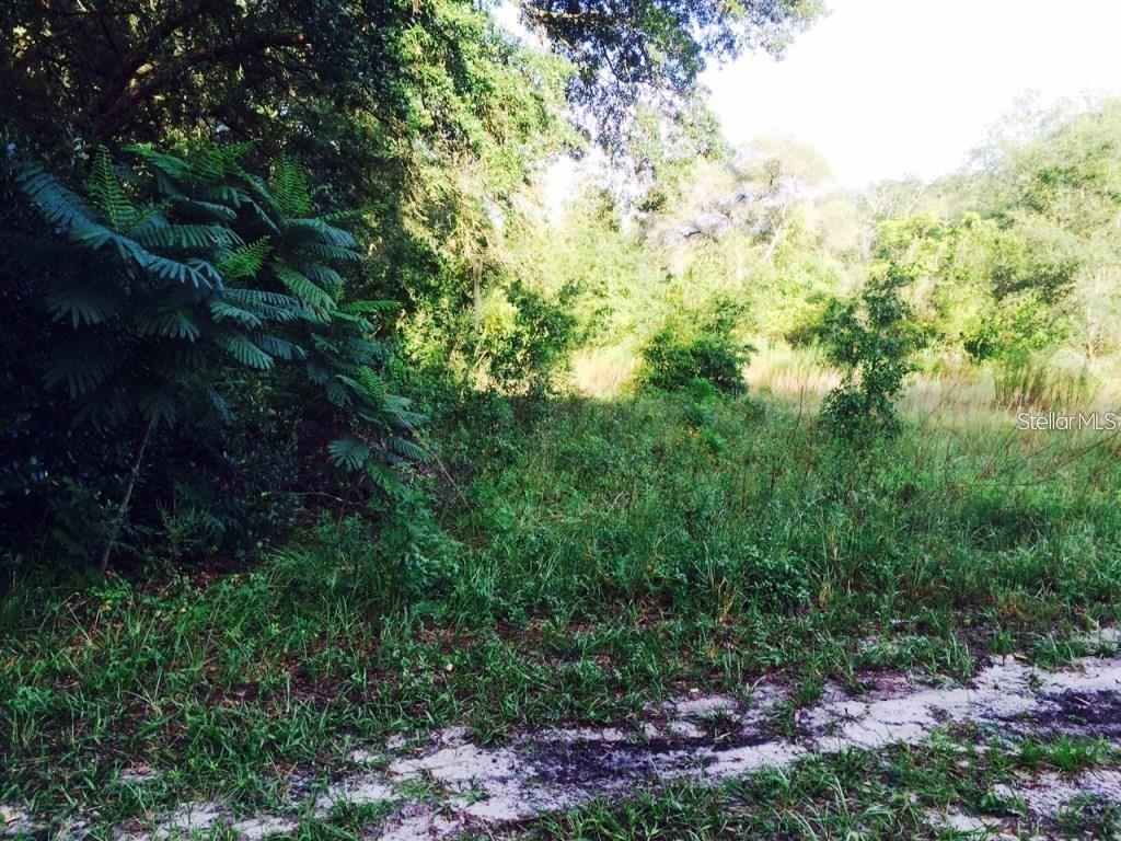 111 FREDERICK ST, INTERLACHEN, FL — photo 4