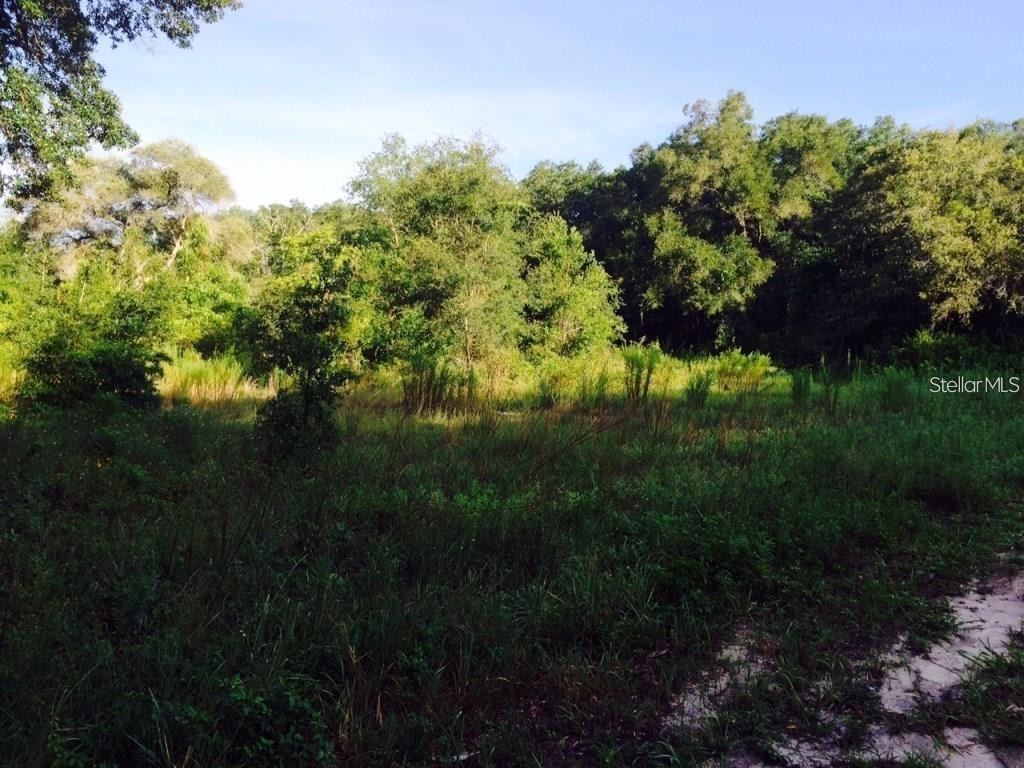 111 FREDERICK ST, INTERLACHEN, FL — photo 5