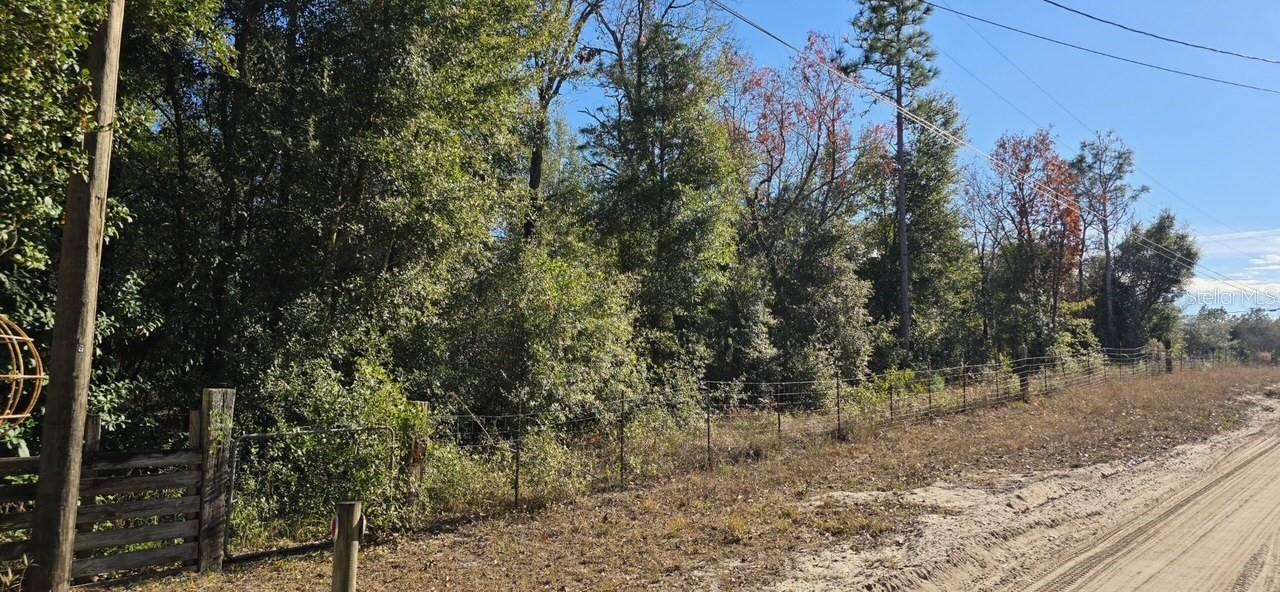 7195 GAS LINE RD, KEYSTONE HEIGHTS, FL — photo 8