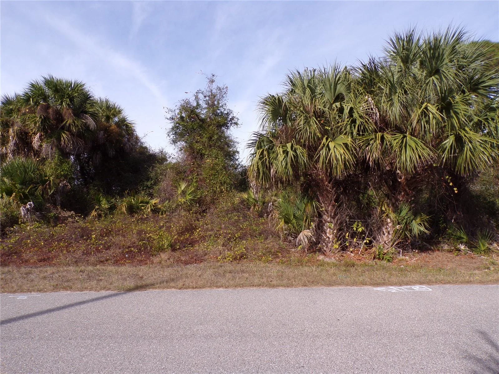 BREWSTER RD, NORTH PORT, FL — photo 2
