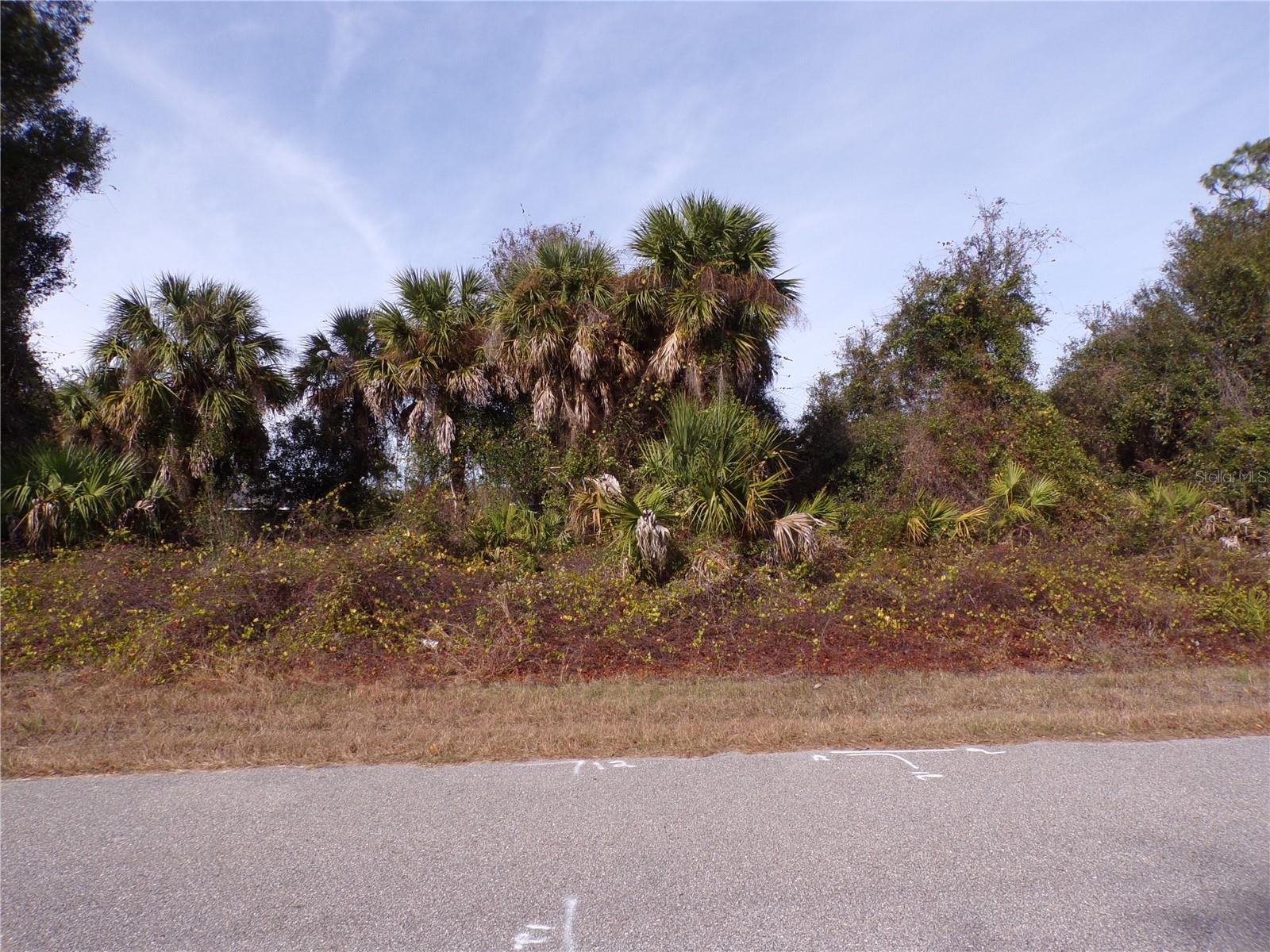 BREWSTER RD, NORTH PORT, FL — photo 3
