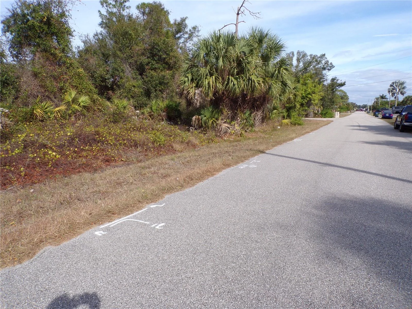 BREWSTER RD, NORTH PORT, FL — photo 6