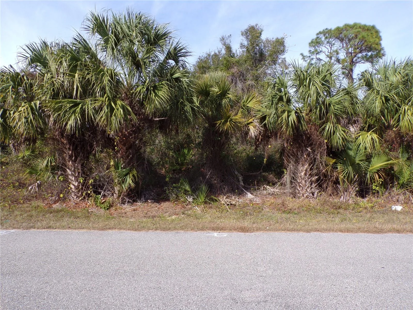 BREWSTER RD, NORTH PORT, FL — photo 9