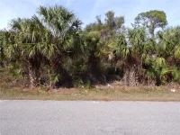 BREWSTER RD — photo 9