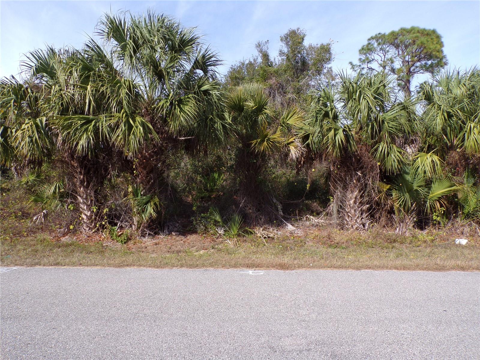 BREWSTER RD, NORTH PORT, FL — photo 10