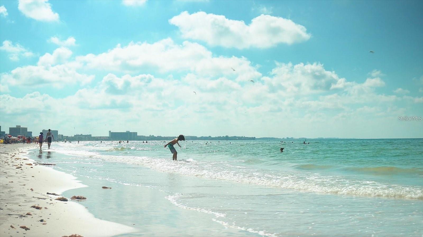, SARASOTA, FL — photo 3