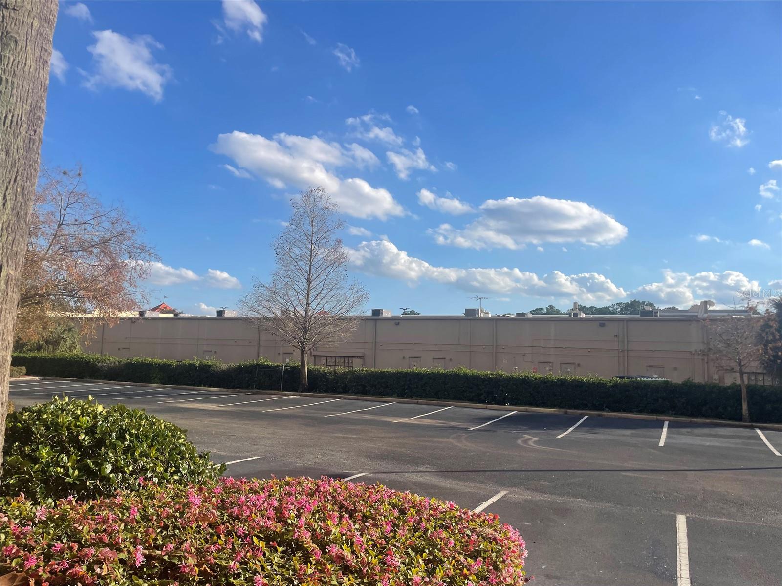 8112 POINCIANA BLVD #1509, ORLANDO, FL — photo 5
