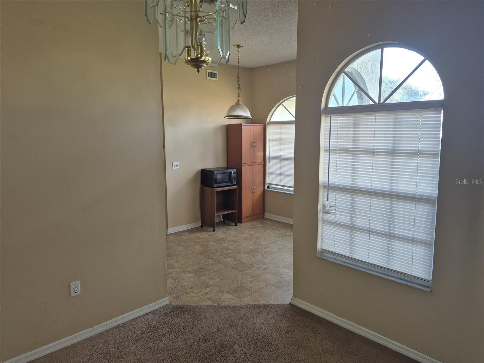 23300 DOVER DR, LAND O LAKES, FL — photo 8