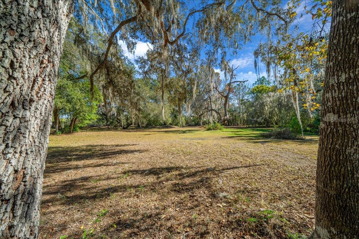 16731 SE 181ST TER, WEIRSDALE, FL — photo 38