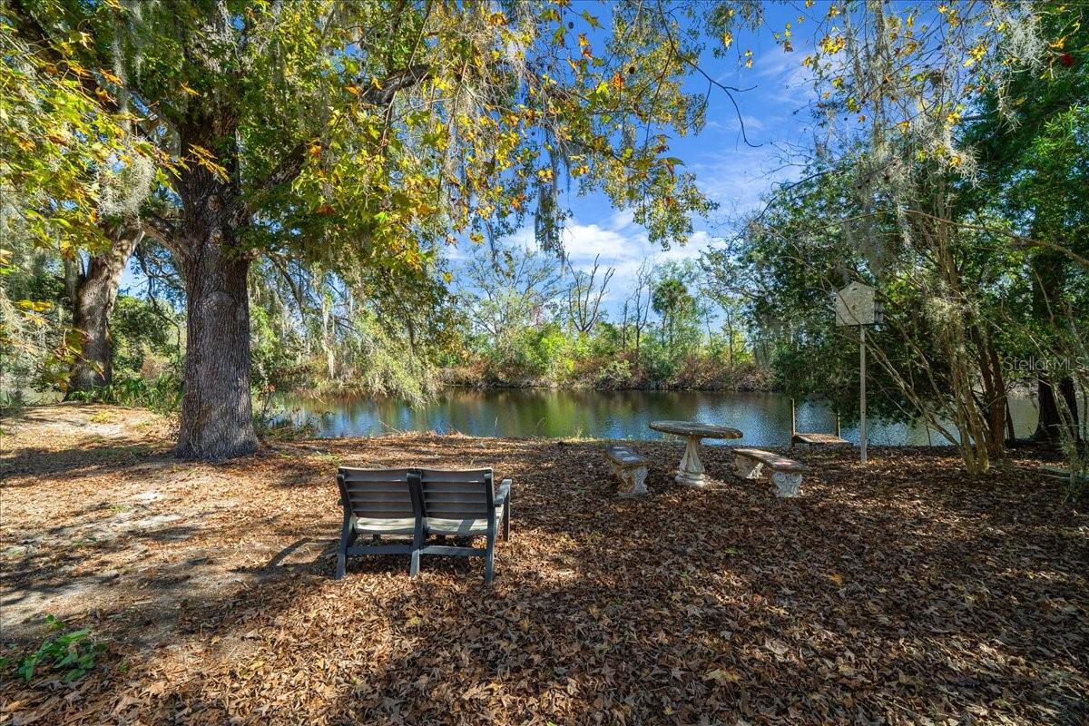 16731 SE 181ST TER, WEIRSDALE, FL — photo 40
