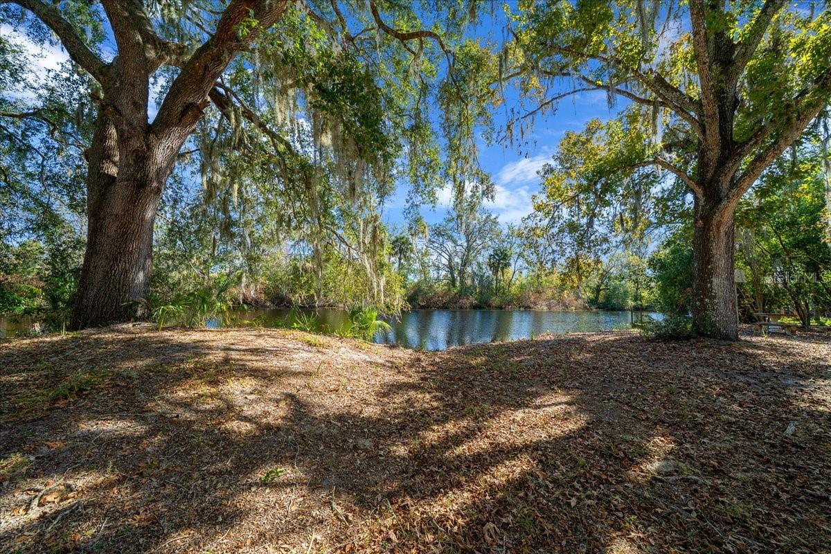 16731 SE 181ST TER, WEIRSDALE, FL — photo 41
