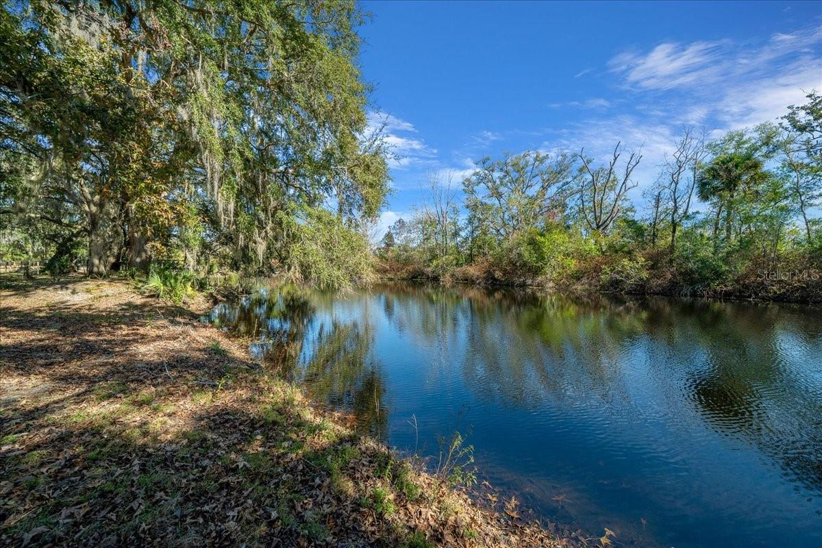 16731 SE 181ST TER, WEIRSDALE, FL — photo 42