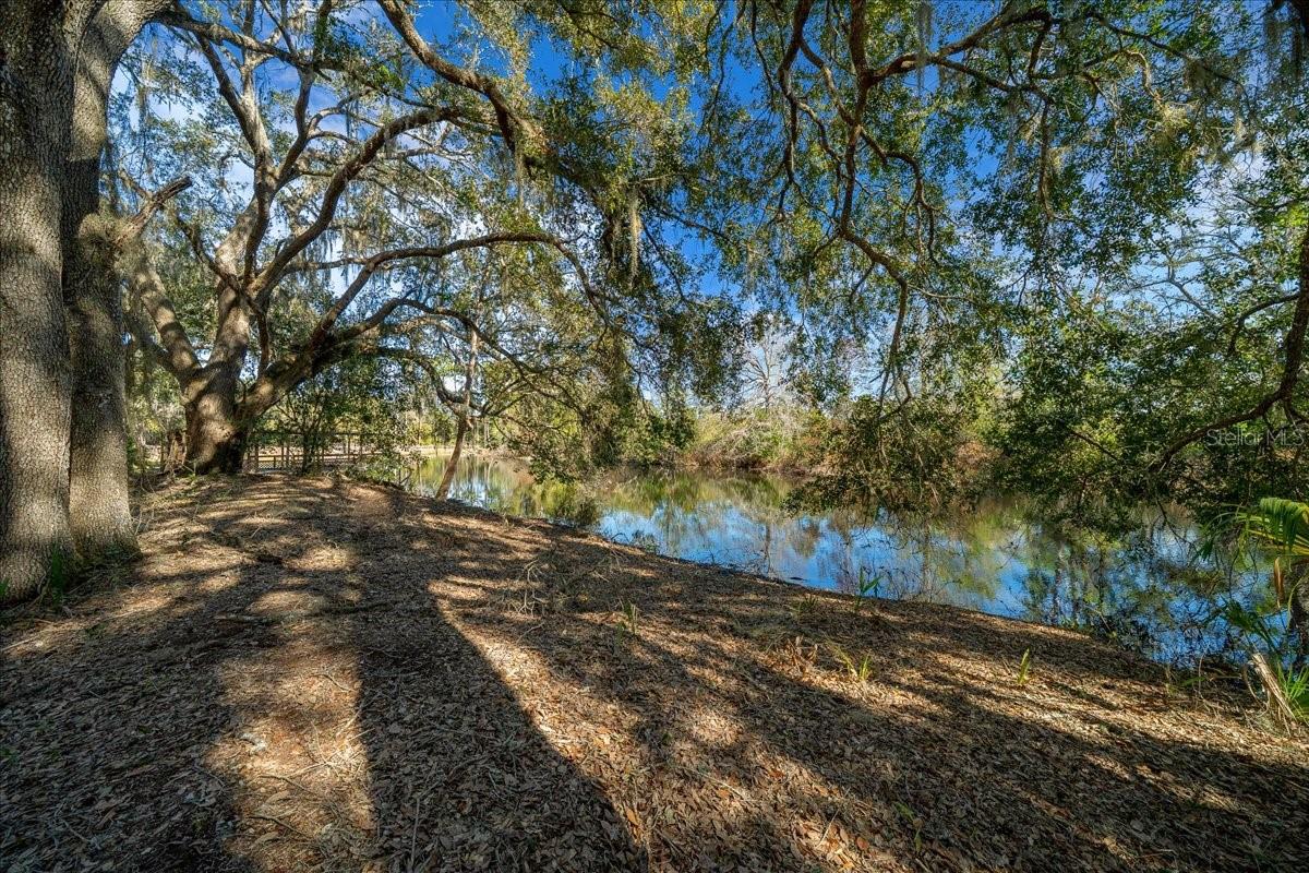 16731 SE 181ST TER, WEIRSDALE, FL — photo 43