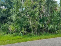 LOT 12 WALMSLEY AVE — photo 4