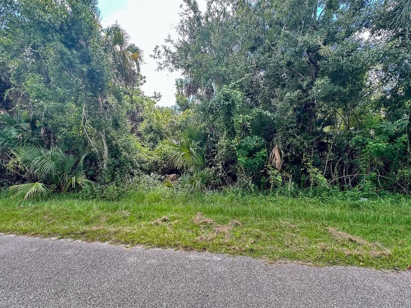 LOT 12 WALMSLEY AVE, NORTH PORT, FL — photo 6