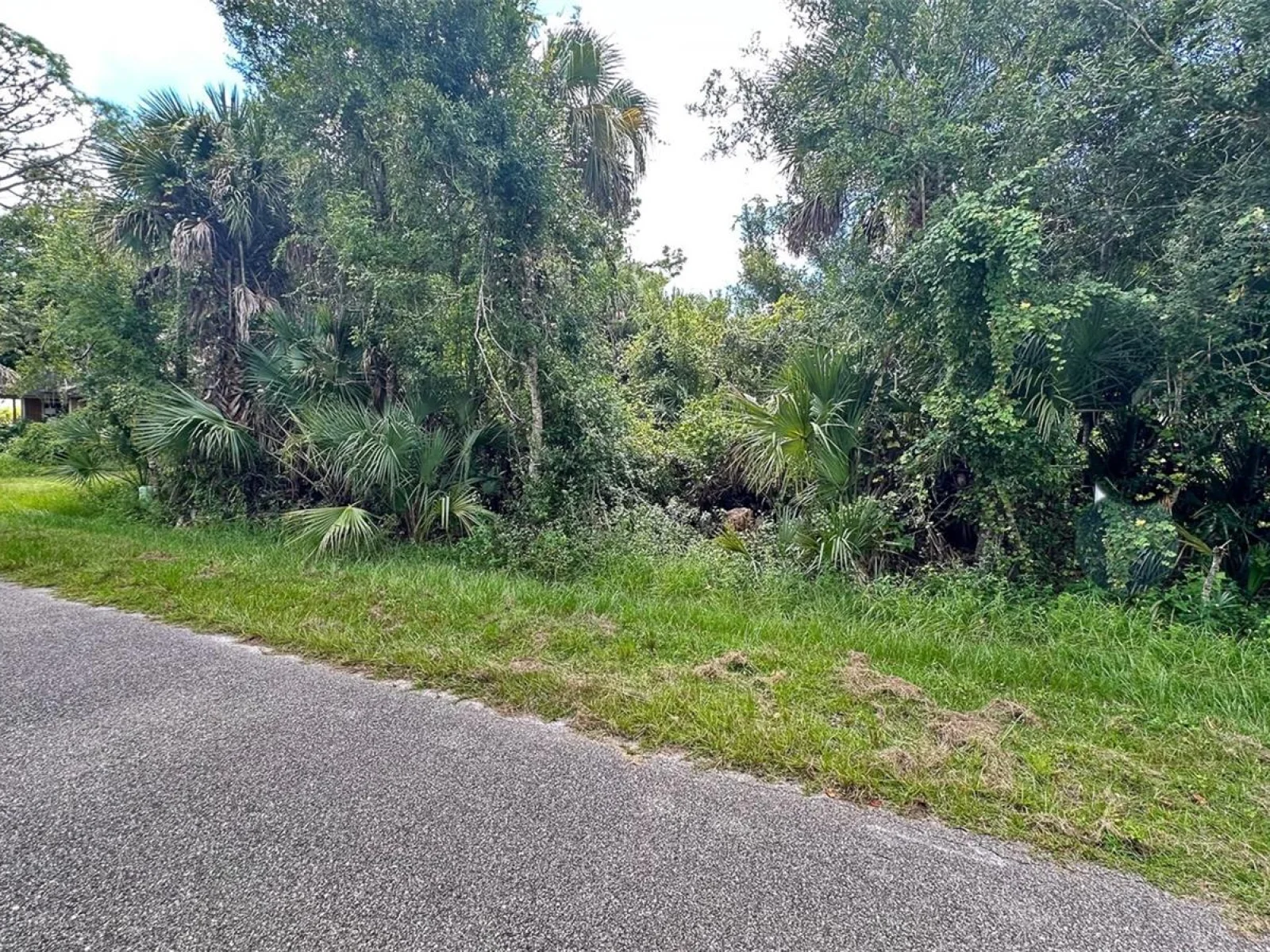 LOT 12 WALMSLEY AVE, NORTH PORT, FL — photo 8
