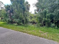LOT 12 WALMSLEY AVE — photo 11