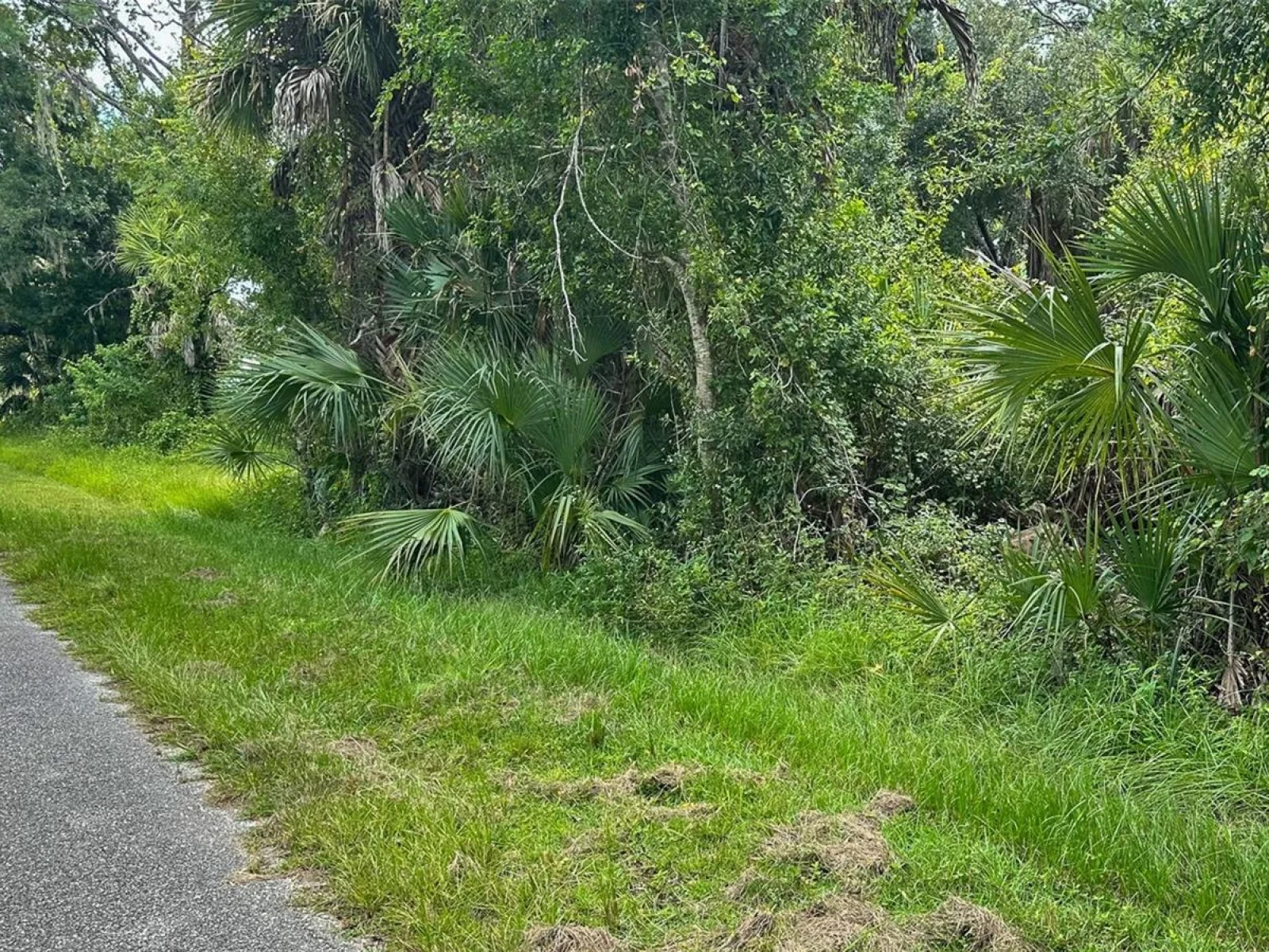 LOT 12 WALMSLEY AVE, NORTH PORT, FL — photo 13