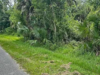 LOT 12 WALMSLEY AVE — photo 13