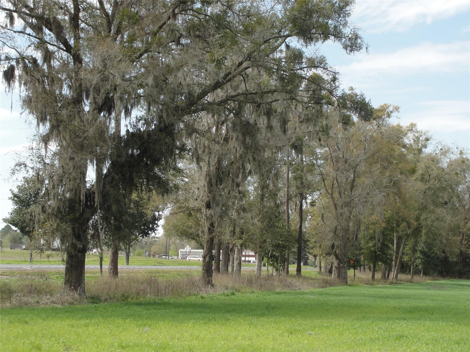 TBD HIGHWAY 441, ALACHUA, FL — photo 8