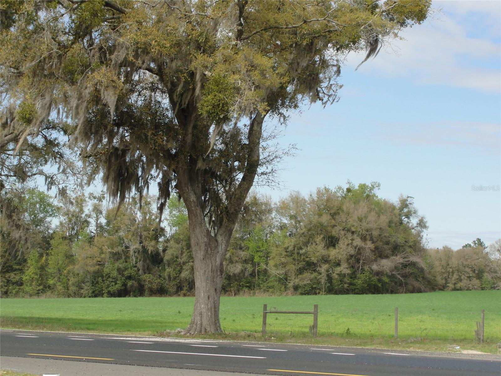 TBD HIGHWAY 441, ALACHUA, FL — photo 9
