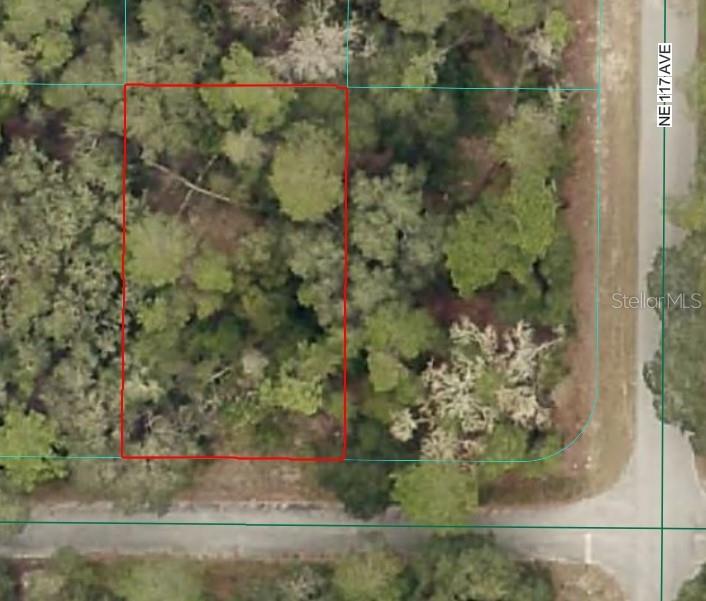 NE 239TH ST, FORT MC COY, FL
