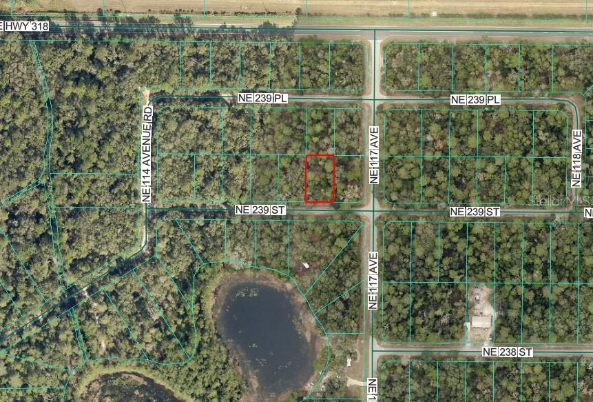 NE 239TH ST, FORT MC COY, FL — photo 2