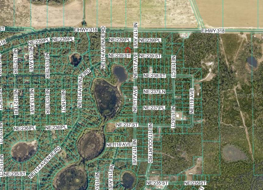 NE 239TH ST, FORT MC COY, FL — photo 3